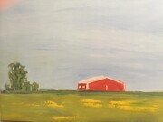 Canola Field and Red Shed