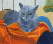 Gato on the Orange Blanket