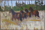 Glimpse of the Horses