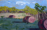 Hay Bales in Fall Field