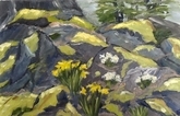 Daffodils and mossy rocks