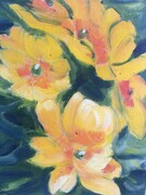 Primulas - Signs of Spring