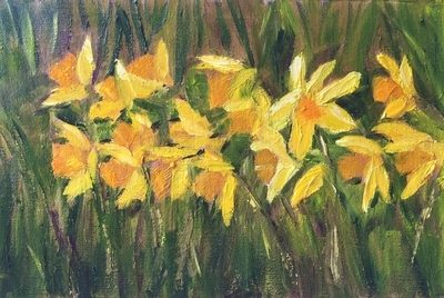 Daffodils