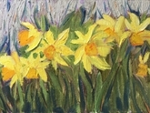 Daffodils