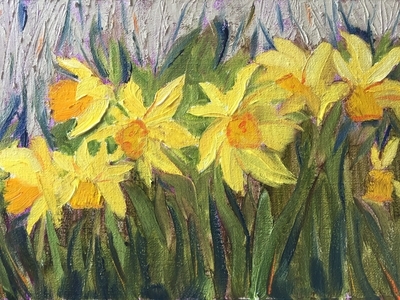 Daffodils