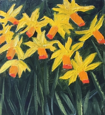 Daffodils