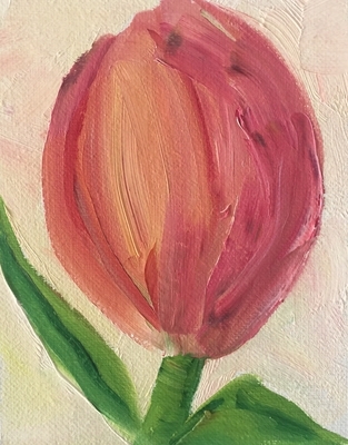 Tulip