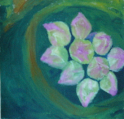 Lotus Flowers