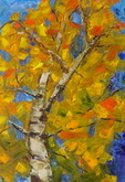 Ontario Fall Colors 1