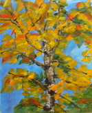 Ontario Fall Colors 2