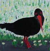 Oyster Catcher with Grasses