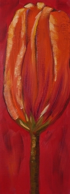 Hope for Spring - Tall Tulip