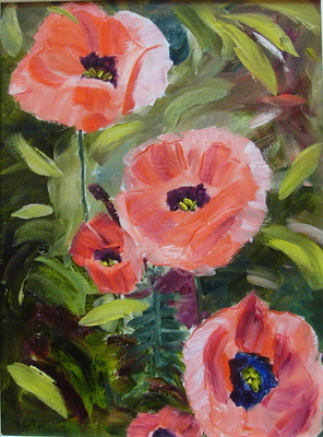 Poppies