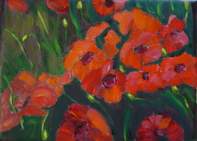 Poppies