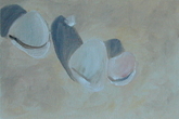 Shells