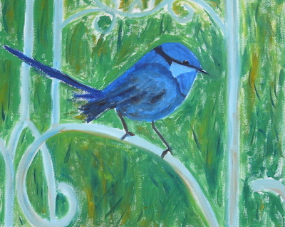 Splendid Wren on Wrought Iron