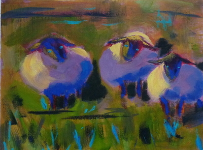 Three Blue Sheep