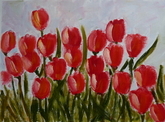 Tulips