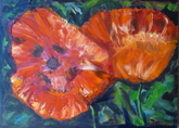 Two Poppies