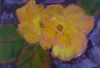 Yellow rose study